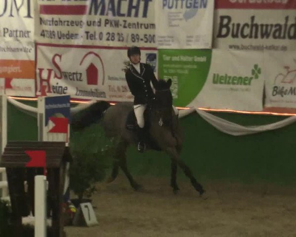Reitturnier Keppeln - Reitanlage "Hötzenhof" 2019