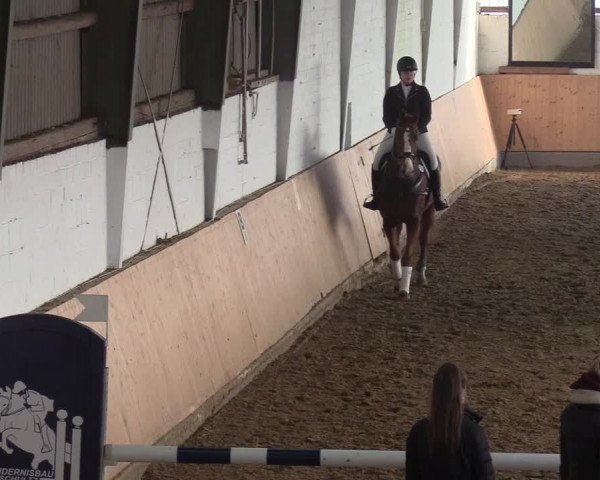 Reitturnier Datteln 2019