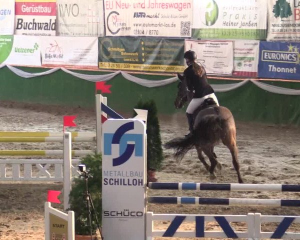 Reitturnier Keppeln - Reitanlage "Hötzenhof" 2019