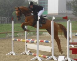 dressage horse Selly 35 (Trakehner, 2004, from Elitär)