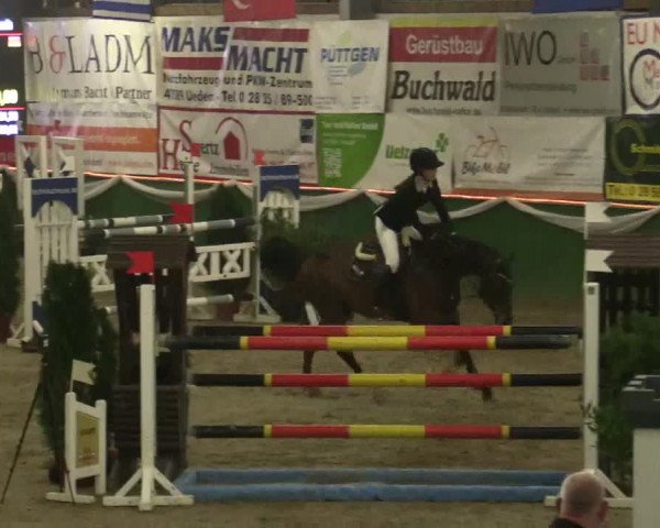 Reitturnier Keppeln - Reitanlage "Hötzenhof" 2019