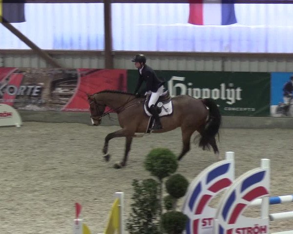 Nordic Jumping events 2019