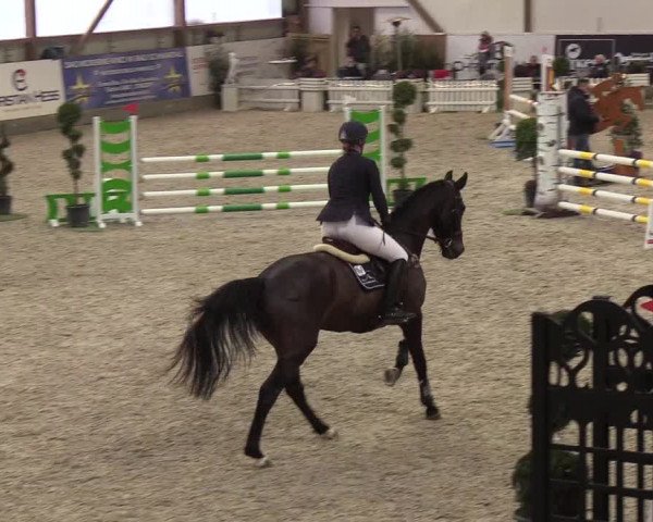 Nordic Jumping events 2019