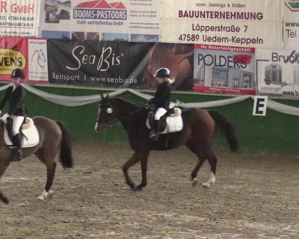 Reitturnier Keppeln - Reitanlage "Hötzenhof" 2019
