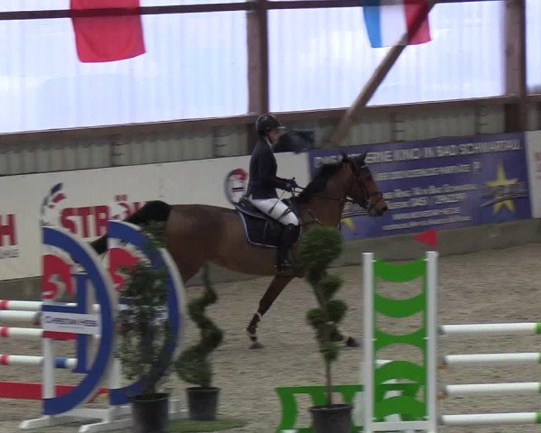 Nordic Jumping events 2019
