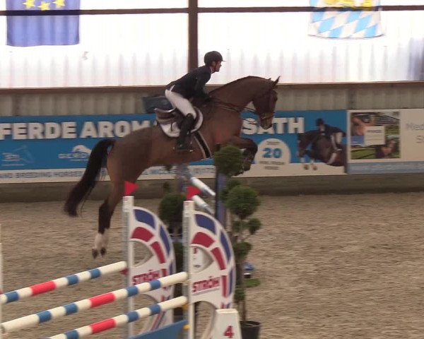 Nordic Jumping events 2019
