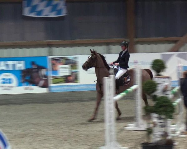 Nordic Jumping events 2019