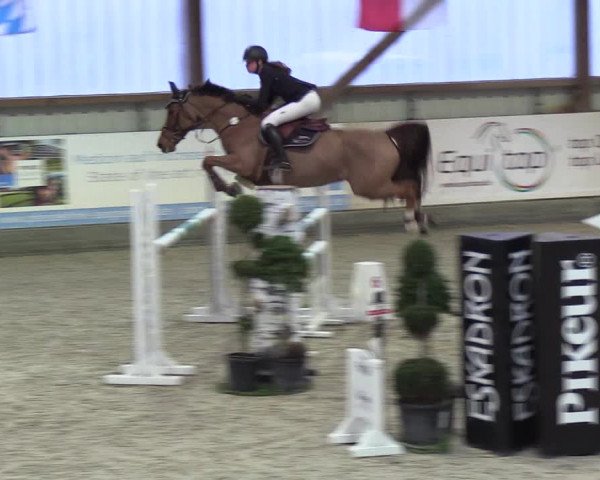 Nordic Jumping events 2019
