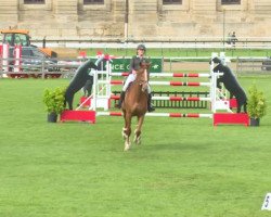 broodmare Paname de L'Abbaye (Selle Français, 2003, from Diamant de Semilly)