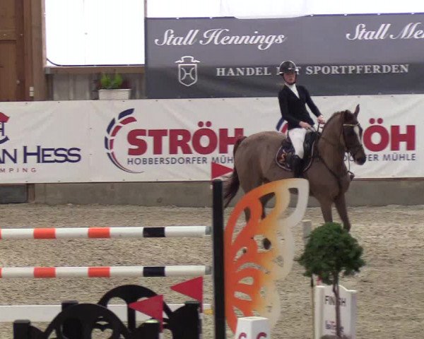 Nordic Jumping events 2019