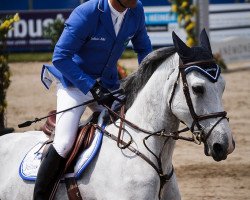 broodmare Queen de la Cour (Selle Français, 2004, from Athlet Z)