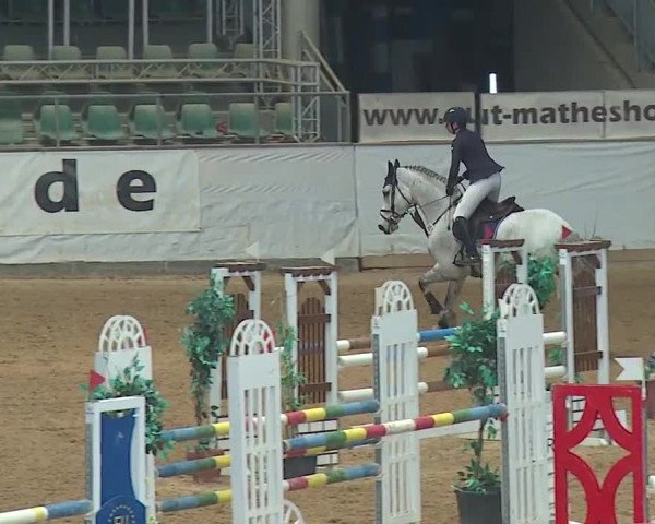 Reitturnier Kreuth/Opf. 2019