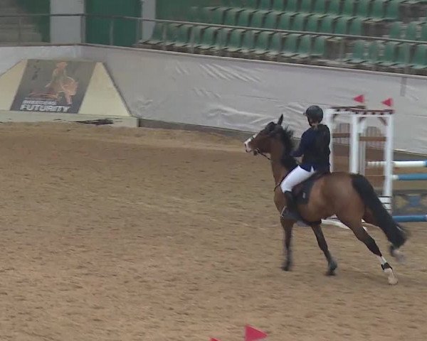 Reitturnier Kreuth/Opf. 2019