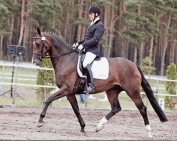 broodmare Ferros Märchen (Hanoverian, 2005, from Ferro)