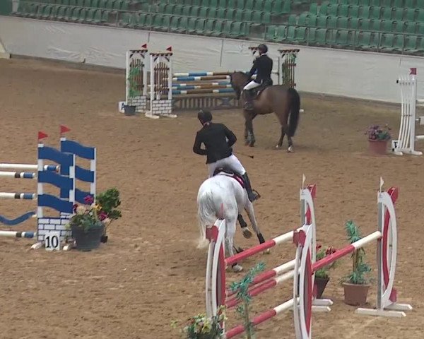 Reitturnier Kreuth/Opf. 2019
