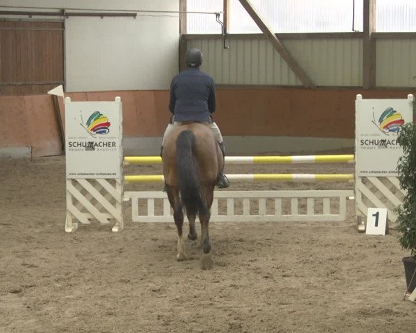 Reitturnier Viernheim 2019