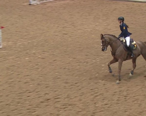 Reitturnier Kreuth/Opf. 2019