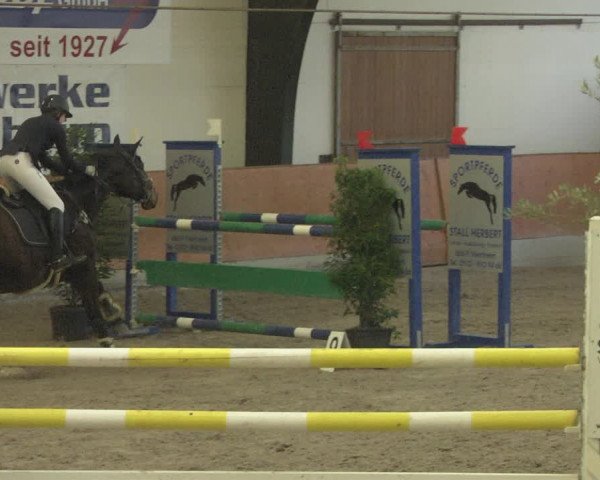 Reitturnier Viernheim 2019
