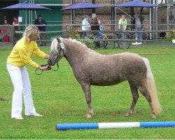 Zuchtstute Highhair v.Clus (Deutsches Classic Pony, 2004, von Jabolo)