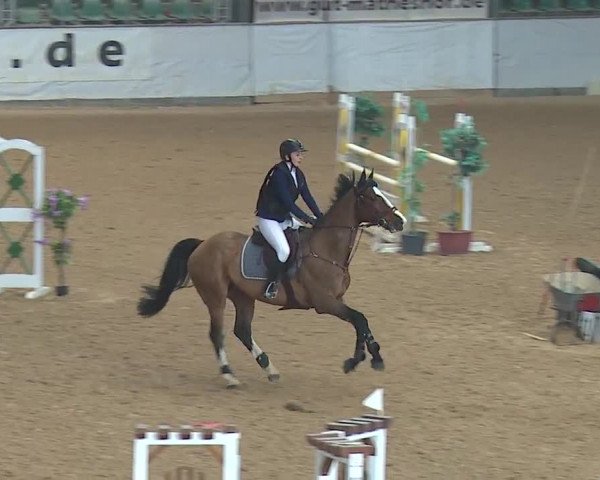 Reitturnier Kreuth/Opf. 2019