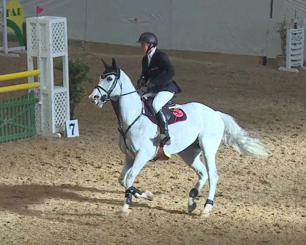 Reitturnier Kreuth/Opf. 2019