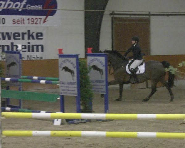 Reitturnier Viernheim 2019