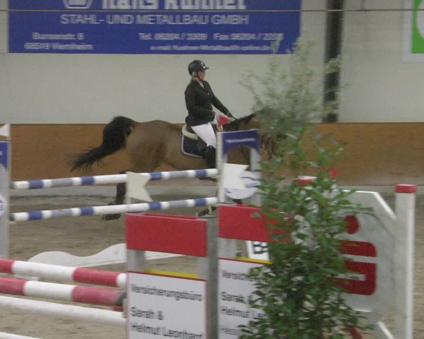 Reitturnier Viernheim 2019