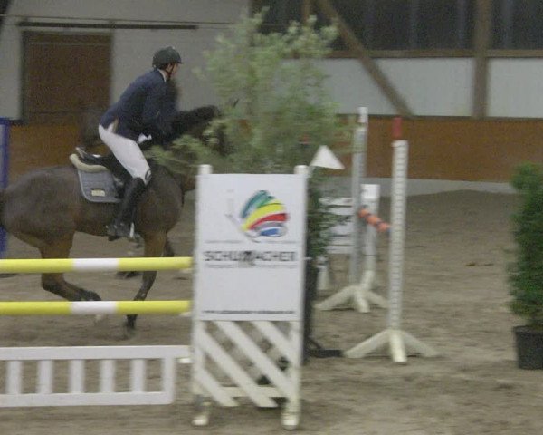 Reitturnier Viernheim 2019