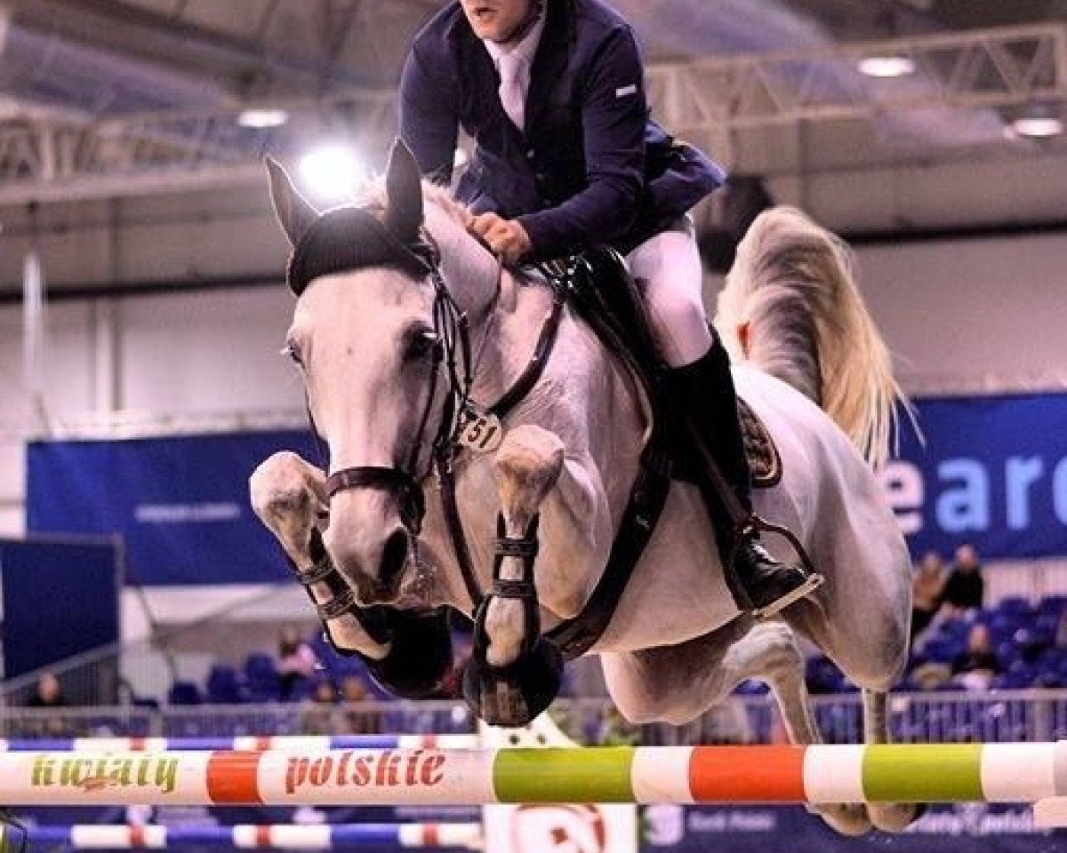 broodmare Christophers Darling (Mecklenburg, 2008, from Call Me Number One)