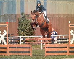 jumper For Attention (Hanoverian, 2005, from For Keeps)