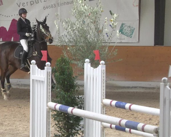 Reitturnier Viernheim 2019