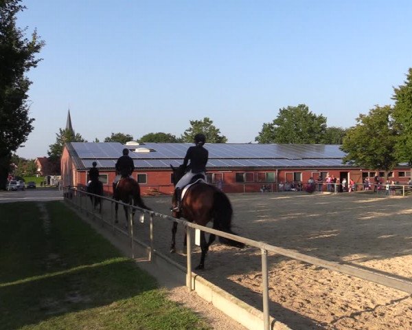 Reitturnier Ascheberg 2021