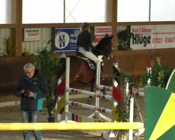 Reitturnier Dettingen 2019