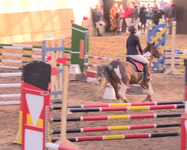 Reitturnier Dallgow 2019