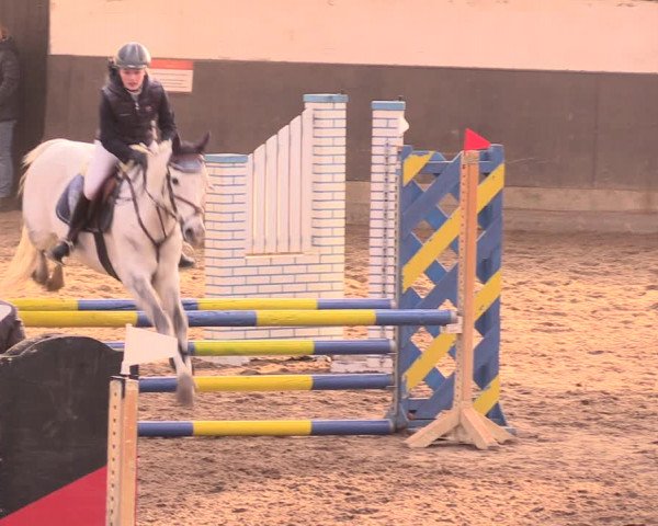 Reitturnier Dallgow 2019