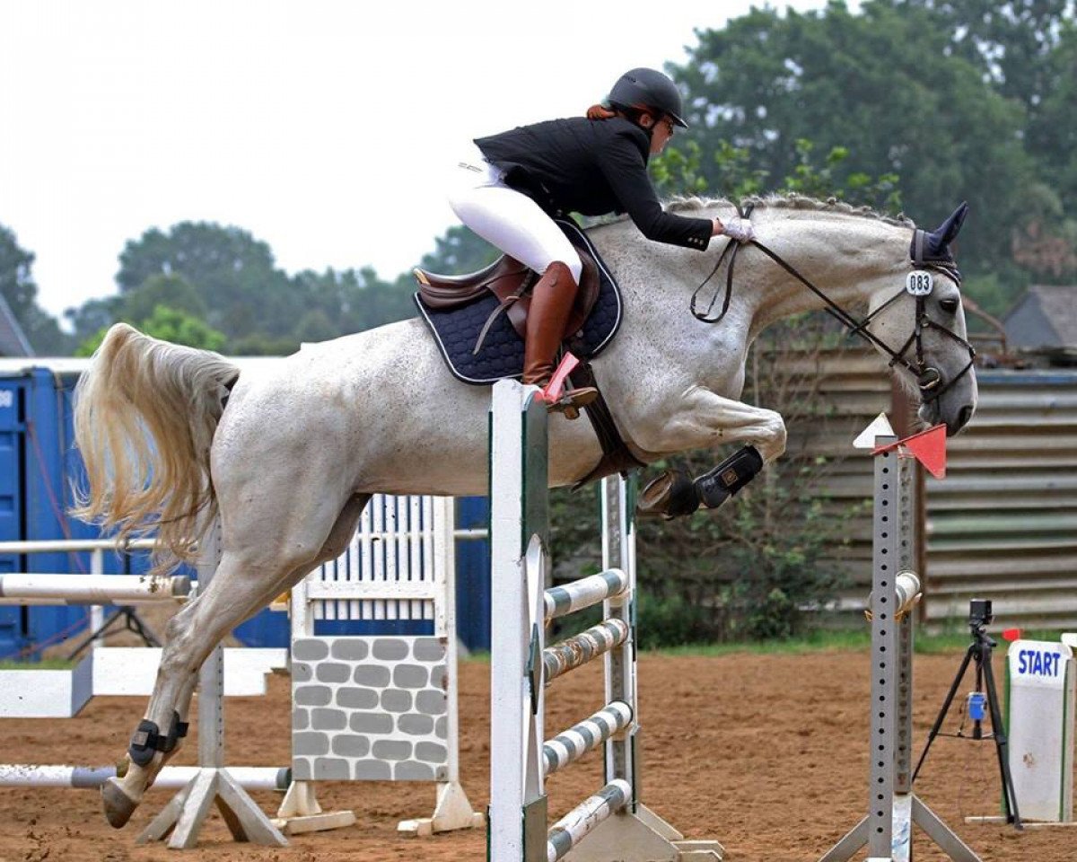 broodmare Cassgardia (Hanoverian, 2007, from Cassus 2)