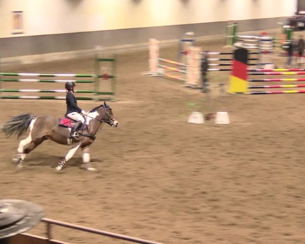 Reitturnier Dallgow 2019
