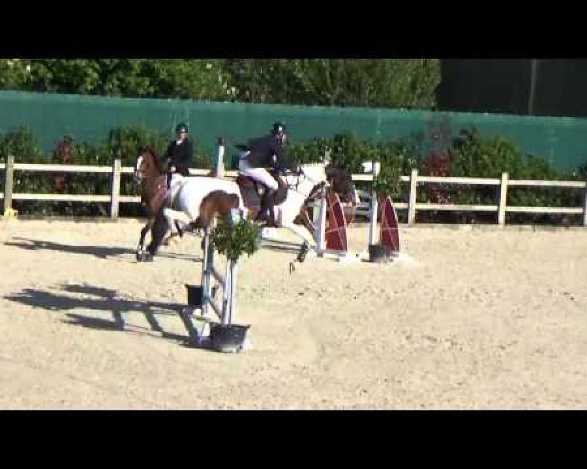 Springpferd Un Bidou Manciais (Selle Français, 2008, von Clinton)