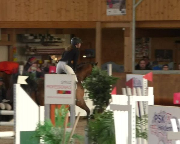 Reitturnier Dettingen 2019