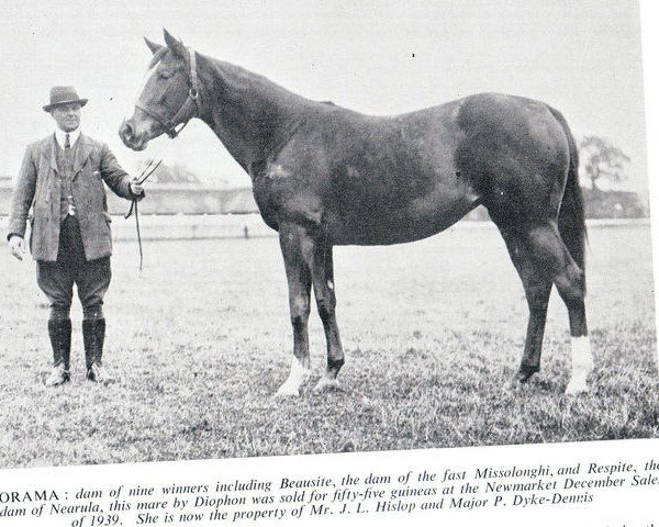 broodmare Orama xx (Thoroughbred, 1932, from Diophon xx)
