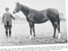 broodmare Orama xx (Thoroughbred, 1932, from Diophon xx)