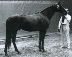 stallion Hanassi xx (Thoroughbred, 1960, from Nearula xx)