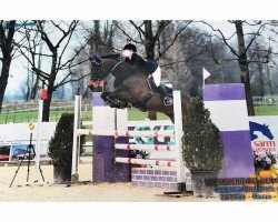 horse Zandokan 3 (Italian Warmblood, 2009, from Casero Della Caccia)