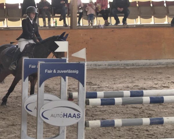Reitturnier Viernheim 2019