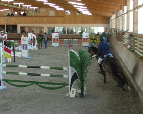 Reitturnier Dettingen 2019