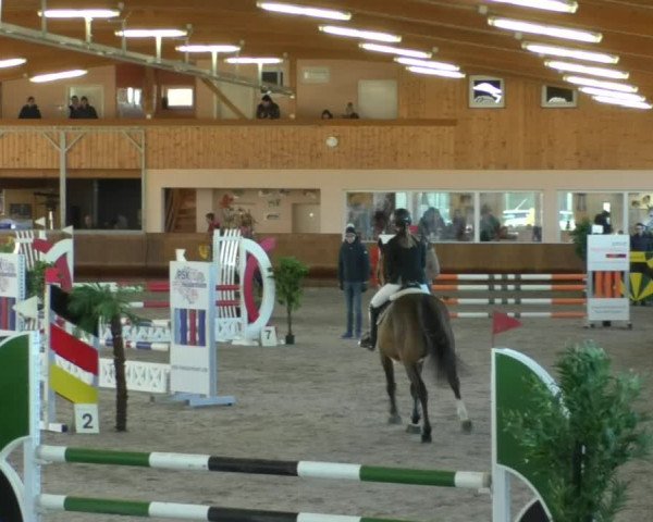 Reitturnier Dettingen 2019