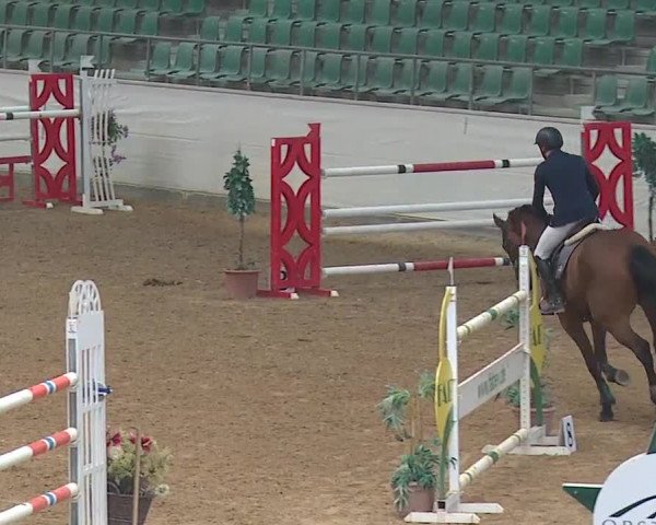 Reitturnier Kreuth/Opf. 2019