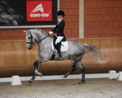 dressage horse Ajuhuu (KWPN (Royal Dutch Sporthorse), 2005, from Casco 4)