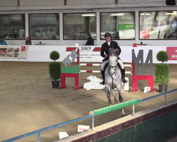Reitturnier Borken 2019