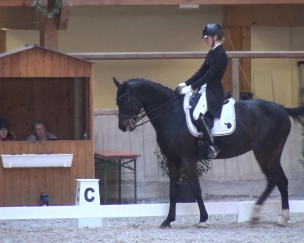 Reitturnier Heidelberg-Kirchheim 2019